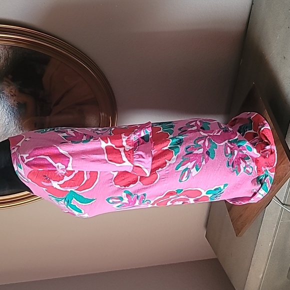 LILLY PULITZER A Thing Called Love Hottie Pink Somerset Cotton Dress. Small - Picture 6 of 9